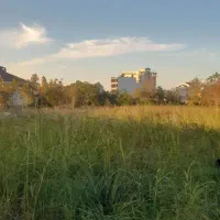 ۲۴۰۰ متر زمین در بام وارتفاع مازو پشته|مشارکت در ساخت املاک|چالوس, |دیوار