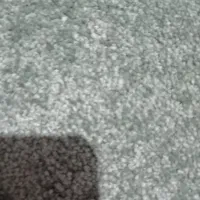 مدارک گم شده