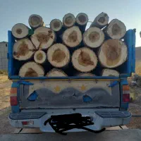 خرید و فروش چوب انواع صنوبربیدمیوه