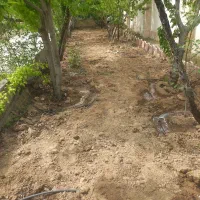 کلیه امور باغبانی هرس.علفزنی.سم پاشی کاشت نهال