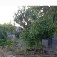 باغ-ویلا-زمین-ملکی