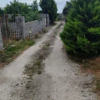 فروش زمین ۲۸۷ متری|فروش زمین و ملک کلنگی|عباس‌آباد, |دیوار