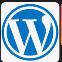 طراح وب‌سایت وردپرس