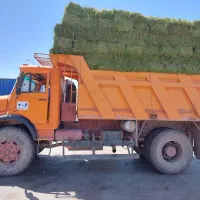 بیده ( یونجه ) بردسیر