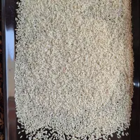 برنج عنبر بو|خوردنی و آشامیدنی|شوشتر, |دیوار