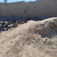 زمین تجاری بغل جاده اصلی ورودی قلعه