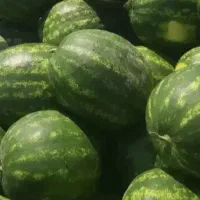 هندونه صادراتی چابهاری درجه 1به شرط