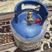 پیک نیک بزرگ