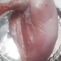 گوشت بوقلمون وبلدرچین|خوردنی و آشامیدنی|شاهرود, |دیوار