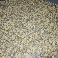 موسیر خشک