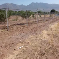 فنس کشی|خدمات باغبانی و درختکاری|اراک, |دیوار