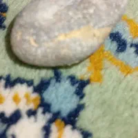 سنگ|جواهرات|کرمان, |دیوار