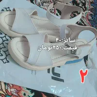 کفش|کیف، کفش، کمربند|ساوه, |دیوار