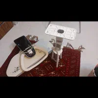 اتو پرس دلمونتی