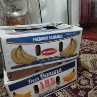 موکت سبز|موکت|مشهد, پنجتن|دیوار