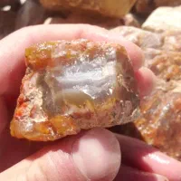 عقیق شجر جاسپر|جواهرات|اردبیل, |دیوار