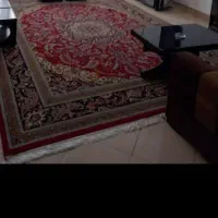 سوییت