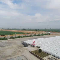 چاپر بسته بندی|حیوانات مزرعه|زیباشهر, |دیوار