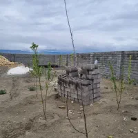 زمین ۴۰۰ متر پردیس زوج