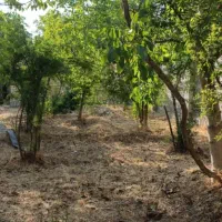 باغ ۵۷۰ متری فاروق مرودشت|فروش زمین و ملک کلنگی|سیدان, |دیوار