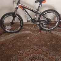 دوعدوچرخه درحدنو برای مصرف