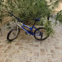 فروش چهار عدد دو چرخه|دوچرخه، اسکیت، اسکوتر|کازرون, |دیوار