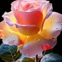 کد بزنی جایزه بگیر