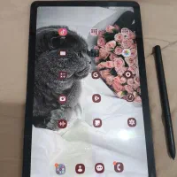 گلکسی تب s6 lite|تبلت|مشهد, کوی ولیعصر|دیوار