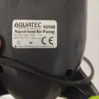 آکواریوم|ماهی|نهاوند, |دیوار