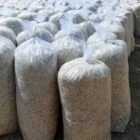 تفاله چغندر میانداب