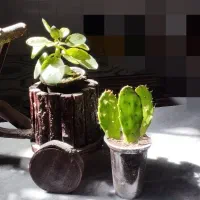 اسباب بازی دوچرخه