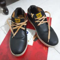 کفش نووسالم