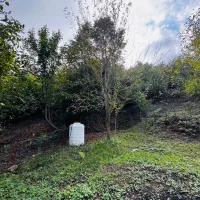 430متر زمین مسکونی با مجوز ساخت دو طبقه|فروش زمین و ملک کلنگی|توتکابن, |دیوار