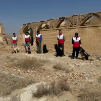 تربیت و مربی سگ|استخدام آموزشی|اصفهان, بهارستان|دیوار