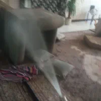شرکت سمپاشی سوسک ساس با ضمانت تضمینی هر مناطق مشهد