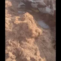 کاه نرم کاهکوب بارون خورده