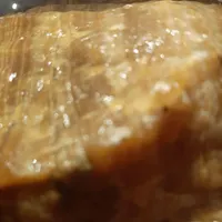 سنگ کهربا  و سنگ شهاب سنگ