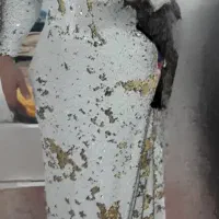 کرایه لباس مجلسی همه رنگ|لباس|اراک, |دیوار