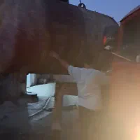 فروش تانکر نفت