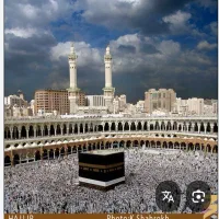 فروش یک فقره فیشن حج تمتع