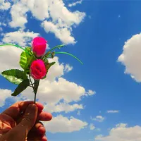 کمد نوجوان با دکور و کتابخانه
