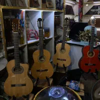 فروش و آموزش گیتار(ًچکی و نقدی)