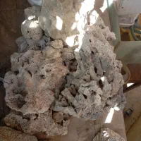 آکواریوم ومتعلقات|ماهی|صدرا-فارس, فاز ۱|دیوار