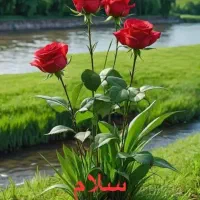 سفر زیارتی کربلا