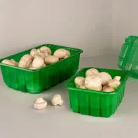ظروف بسته‌بندی قارچ