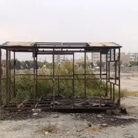 اسکلت کانکس سالم