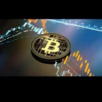 پرداخت وام وسرمایه جهت شراکت