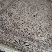 قالی ۱۲متری