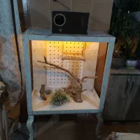 خونه پرنده|لوازم جانبی حیوانات|ارومیه, |دیوار