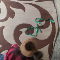 فرش .ضخیم .جنس خوب.قهوه ای ۵۰۰ت|فرش|گرگان, |دیوار